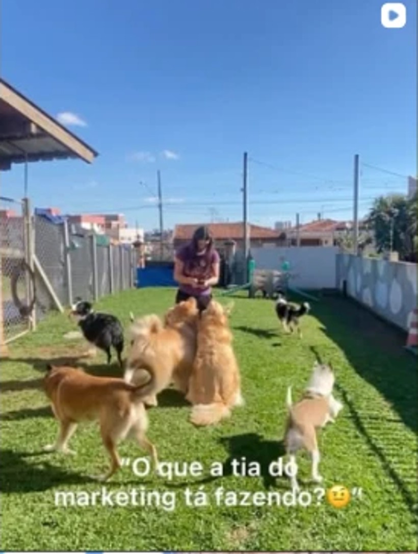Cuidadora acompanhando os cães no pátio